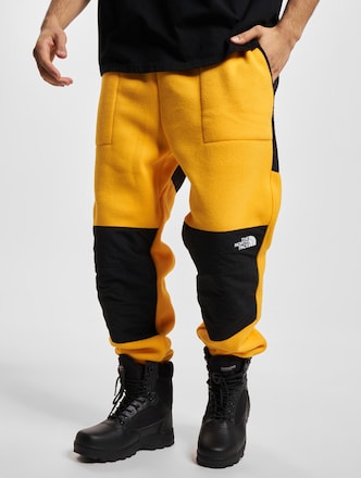 Order The North Face Hosen online with the lowest price guarantee
