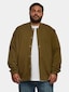 olive_104190