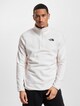 The North Face 100 Glacier 1/4 Zip Pullover-2