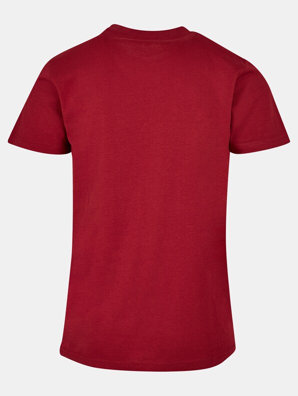 Nasa - Space Shuttle Program Basic-1