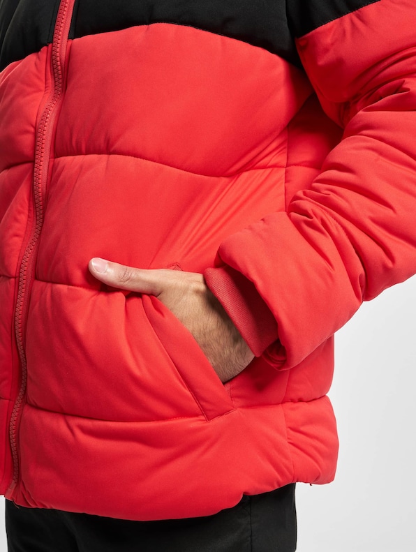 Hooded 2-Tone-4
