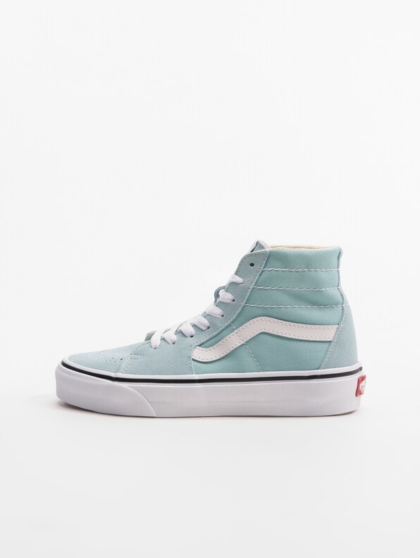 Ua Sk8-Hi Tapered Color Theory-1