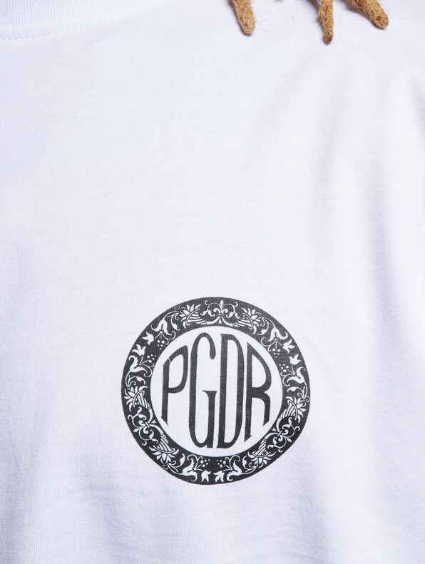 Plover Boxer-4