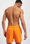 orange_21759