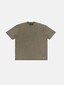 olive_149877