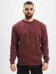 Crewneck -2