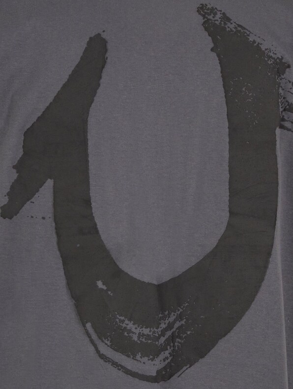 True Religion RELAXED NU BRUSH TEE-6