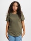 olive_2191