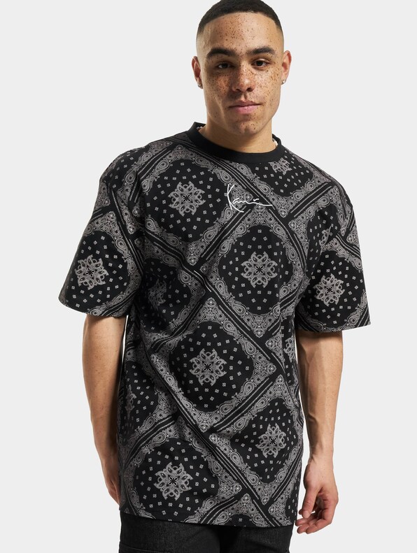 Small Signature Paisley -0