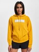 Levis Graphic Standard Hoodie-2