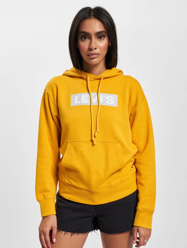 Levis Graphic Standard Hoodie-2