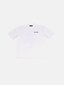 white_149927
