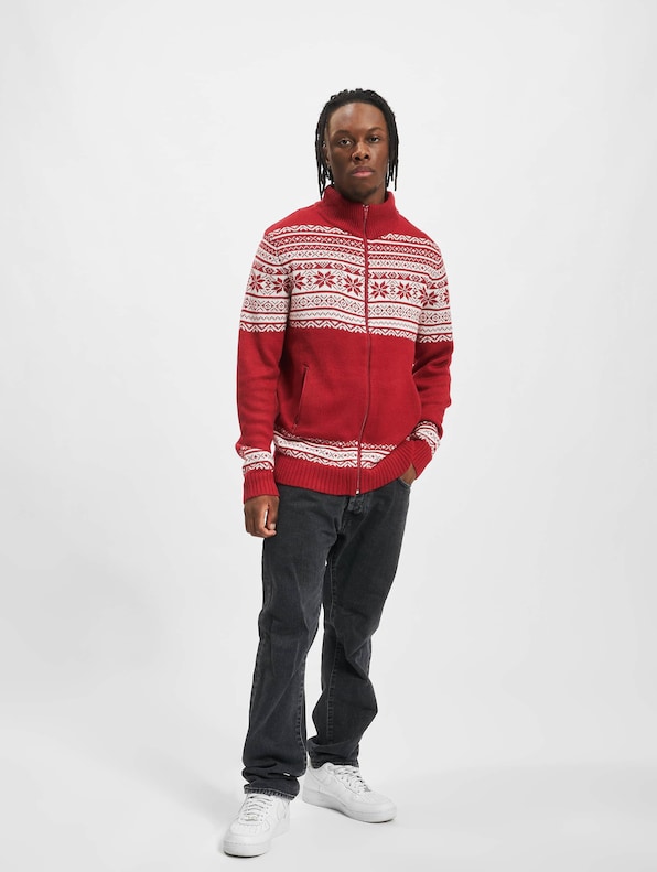 Cardigan Norweger-4