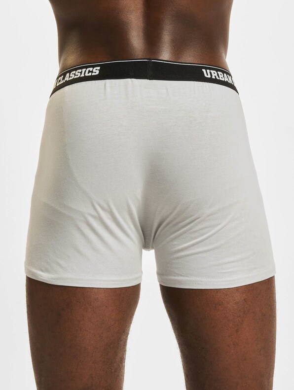 Organic Boxer Shorts 5-Pack-8