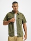 olive_38185