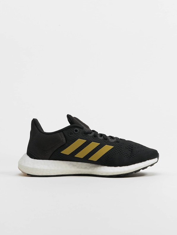 Pureboost 21-3