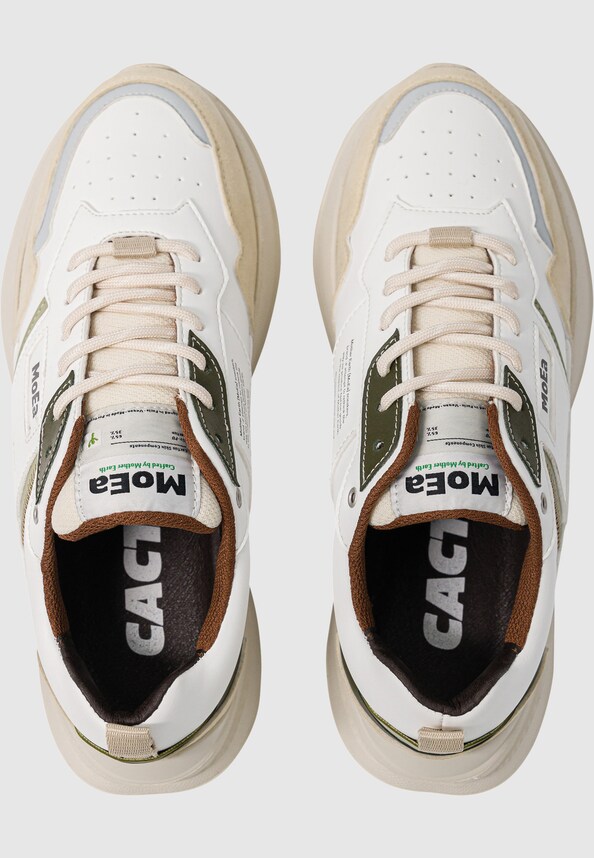 GEN5 - CACTUS BLEND-1