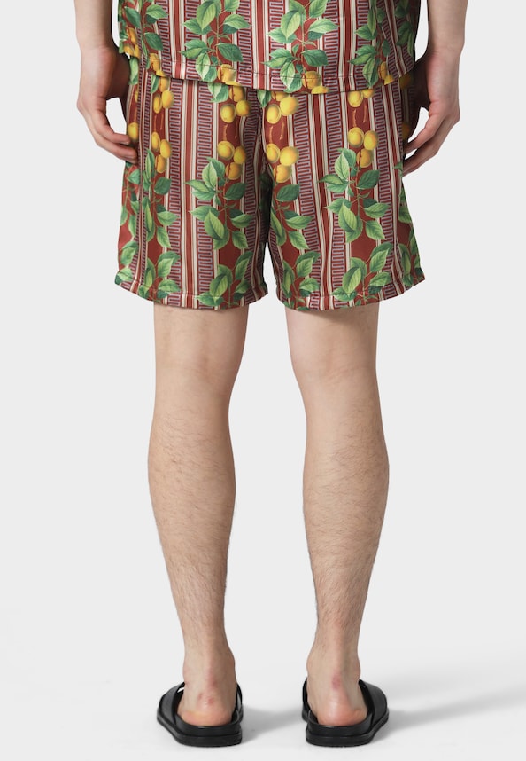 FRUITS  CUBAN SHORTS-1