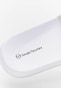 white_2536