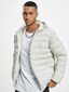 white_3256