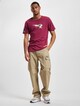 Rhein Fire Iconic T-Shirt-5