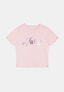 rose_153988