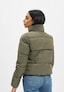 olive_85238