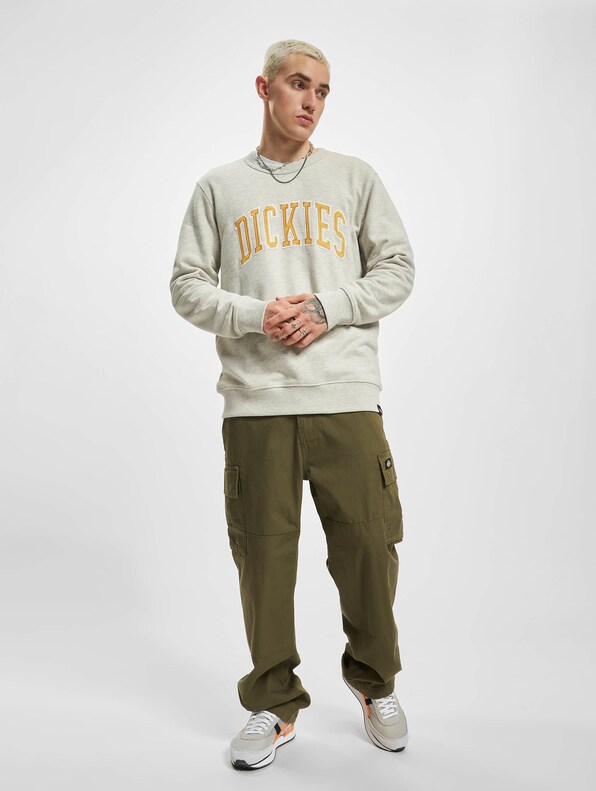 Aitkin -5