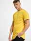 yellow_3669