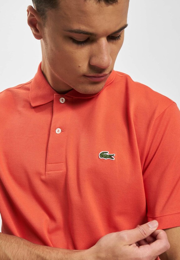 Polo-2