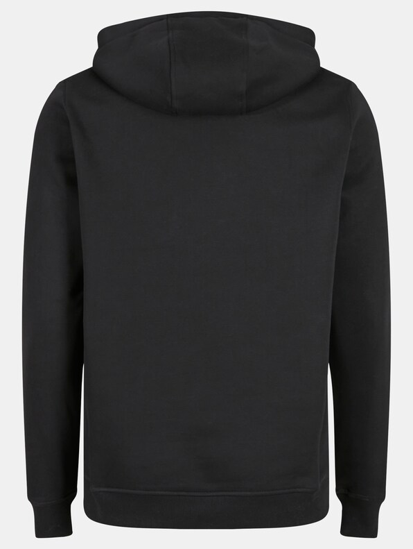 Detroit Tiger Head Hoody-5