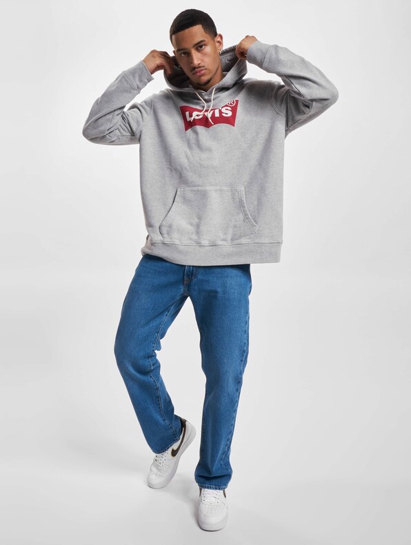 Levis Standard Graphic Hoodie-5