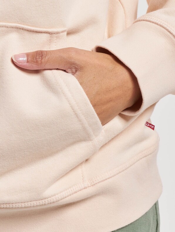 Levis Graphic Standard Hoodie-5