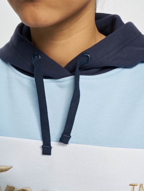 Tommy Jeans Crop Archive Hoody-3