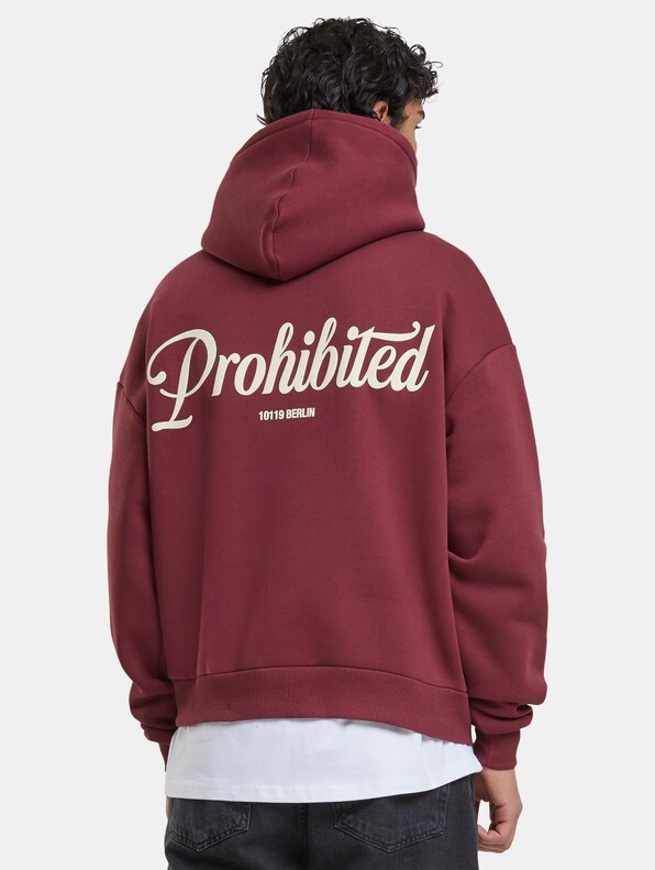 Prohibited V2 Hoodies-1