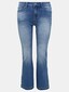 blue_124496