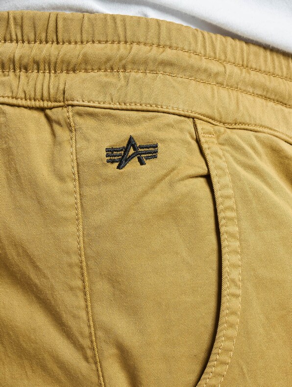 Alpha Industries Cotton Twill Cargohosen-5
