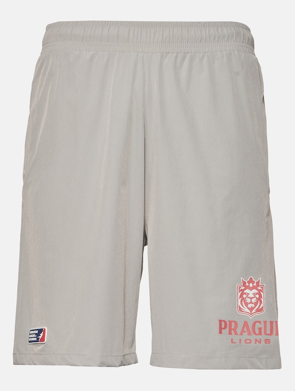Prague Lions 2-10
