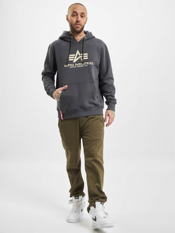 Alpha Industries Basic Hoodies-5
