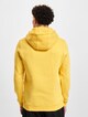 Rose Hoody-1