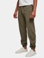olive_38775