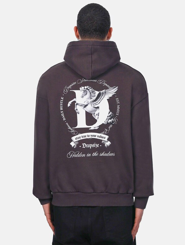 HEAVY OVERSIZE PEGASUS -1