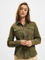 olive_37444