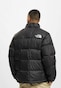 black_16042