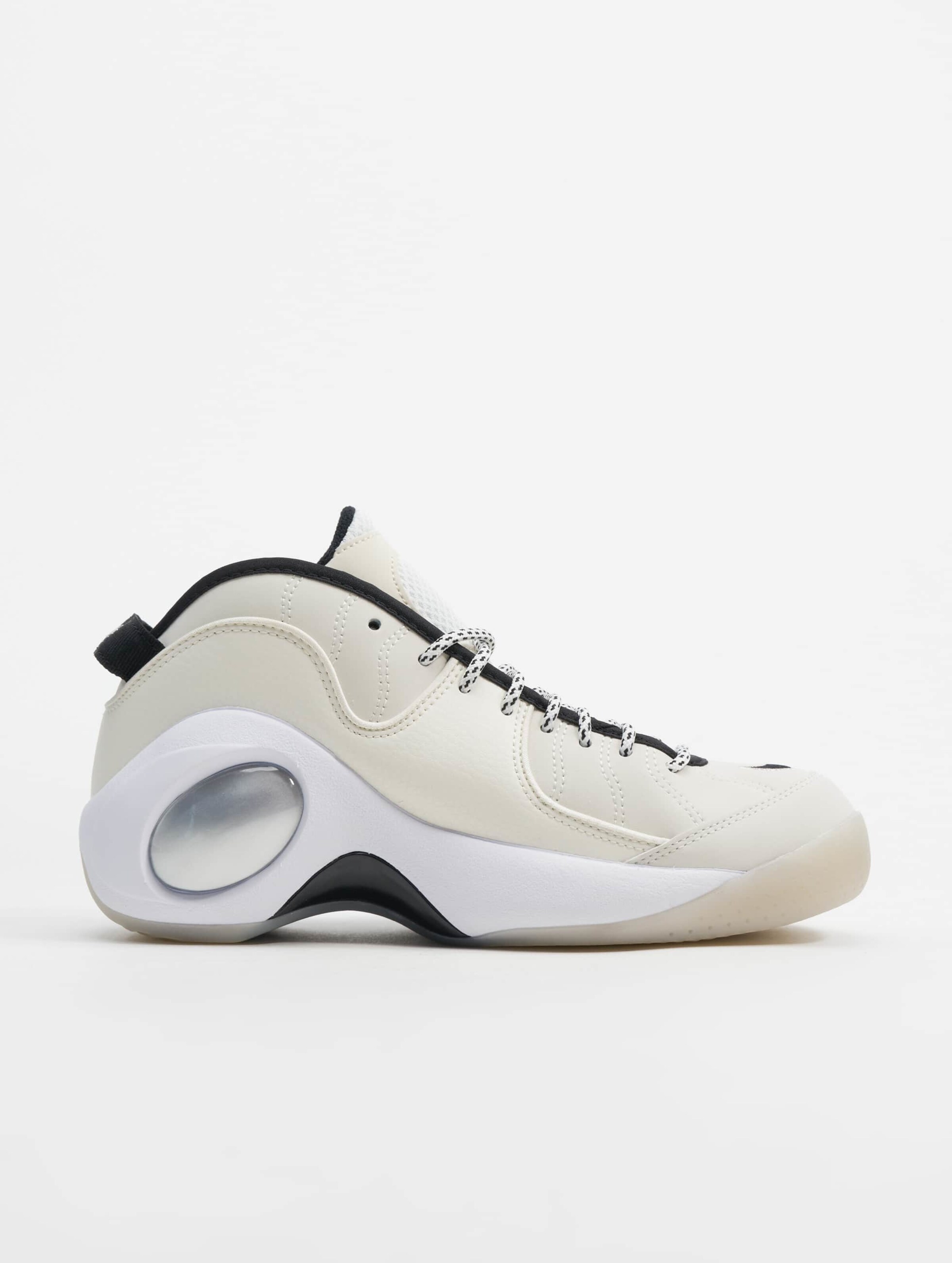 Zoom flight online 3