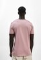 rose_54953