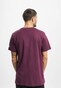 violet_11604