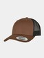 brown_41238
