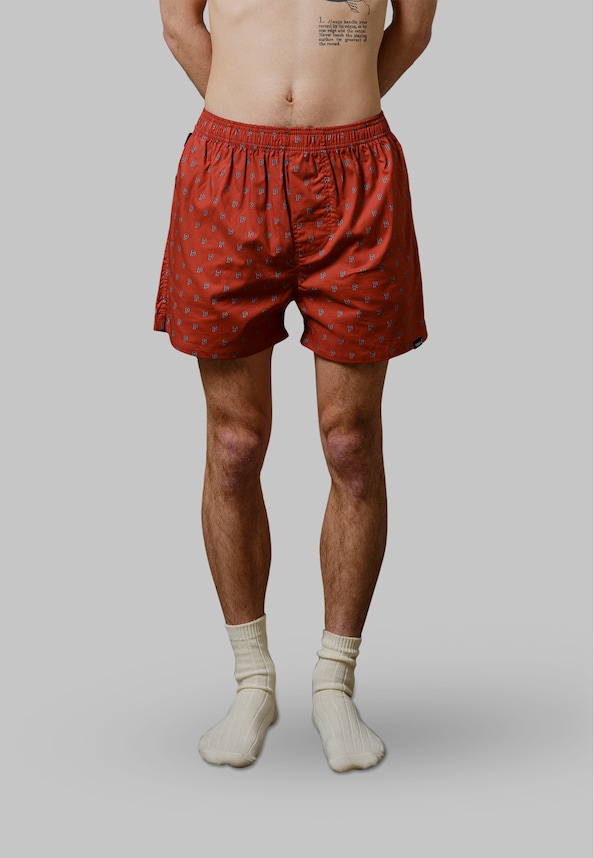 2-pack - P's Allover Boxers-1