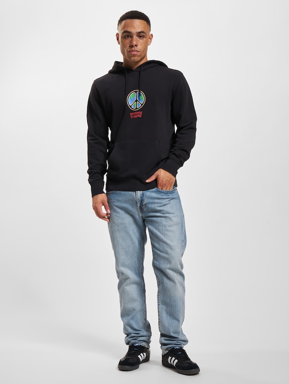 Levis T3 Graphic Hoodie-5